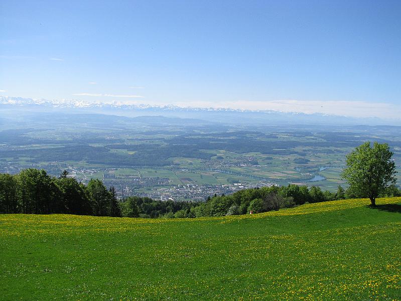 2009-05_Weissenstein 063.jpg